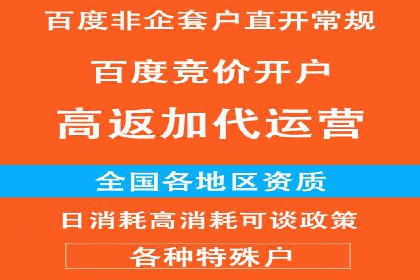某旅游网站SEM优化案例：如何吸引目标用户